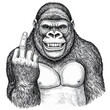 © O&Rainy STUDIO - Vector illustration of a gorilla smiling and giving you the middle finger.