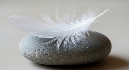 Vectore illustration of a delicate white feather rests gently on a smooth, grey pebble, creating a serene and minimalist composition
