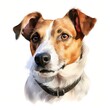 © Studicon - The illustration shows a Jack Russell Terrier, a small dog breed known for its energetic nature and distinctive markings, wearing a black collar.