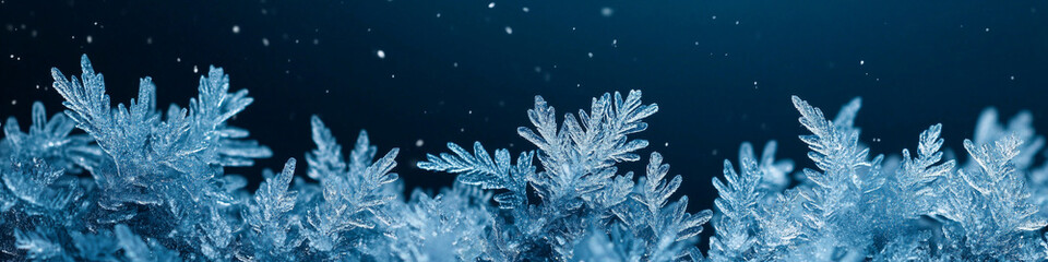 Wall Mural - Frost background with Copy Space