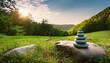 © Mariah - serene meadow used in eco therapy features stacked stones on rock surrounded by lush green grass and trees creating peaceful atmosphere