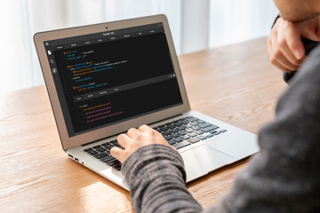Wall Mural - software development programming on computer screen for modish application and program coding