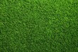 © Razfi - Close Up View Of Green Artificial Turf