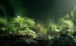 © Designer - A plant growing with stock market chart overlayed