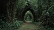 © Sampao - Scenic Pathway Through Lush Bamboo Grove Surrounded by Dense Greenery and Natural Arches