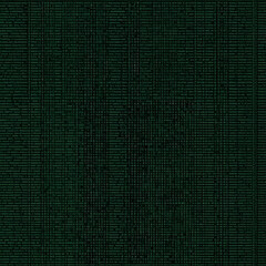 computer program code