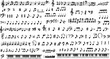 © Anomal - Collection of musical symbols and notes. Musical notation.