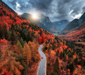 Wall Mural - aerial view of winding mountain road in forest at sunset in autumn. alps, italy. curved alpine road,
