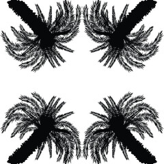 Wall Mural - four palm trees in corners isolated on white background