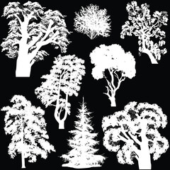 Wall Mural - different trees eight silhouettes isolated on black