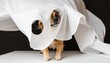 © intricateflow - Funny and adorable dog draped in a white sheet with cut-out eyes, dressed as a ghost for Halloween, capturing whimsical pet humor, playful costume, and festive Halloween spirit in a cinematic shot