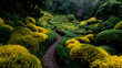 © john - Yellow And Green Shrubbery Labyrinth Path On Dark Grund