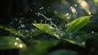 © Cali - Water droplets splashing on vibrant green leaves