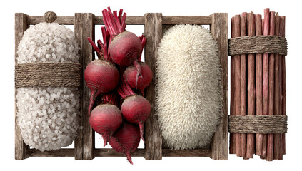 Isolated Set of Various Objects on Transparent Background