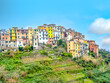 scenic old village Corniglia in cinque terre, iTerre di Siena, Italy