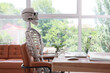 © Pixel-Shot - Human skeleton model with laptop at desk in office
