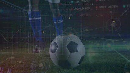 Wall Mural - animation of digital data processing over football on grass