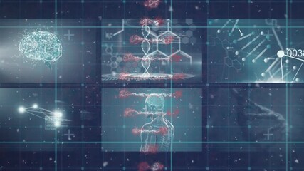 Wall Mural - animation of rotating dna helix over medical infographic interface over abstract background