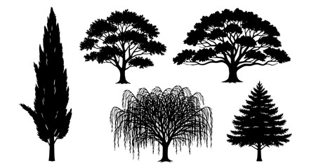 Vector art of set of different tree silhouettes for design use for POD