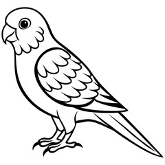 parakeet line art vector