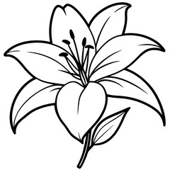 Lily line art vector