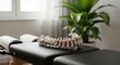 © Safina - Chiropractic workspace with human spinal column model on adjustment table
