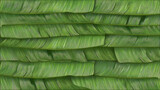 Lush green banana leaves create vibrant and textured background, showcasing natural beauty and intricate patterns of foliage. overlapping layers evoke sense of tranquility and freshness