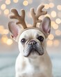 © Nunthaphuk - Charming Pet Portrait for Commercial Use – Adorable French Bulldog with Reindeer Antlers and Bokeh Lights