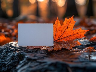 Wall Mural - autumn maple leaf with dew covered blank white gift card