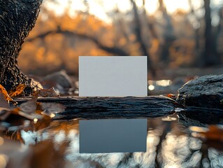 Wall Mural - serene nature s balance a blank card on a wooden bridge