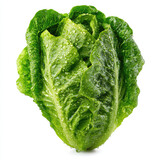 160_f_1677236360_ygqym6nypbarl5dngofunzijj00heo5y