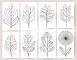 © Majid - Botanical wall art vector set. Foliage line art drawing with abstract shape. Abstract Plant Art design for print, cover, wallpaper, Minimal and natural wall art. Vector illustration
