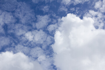 Wall Mural - the sky is covered with fluffy clouds.