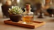 © Pix - Small glass bottle with amber liquid, beside succulent in dark pot, on cork tray