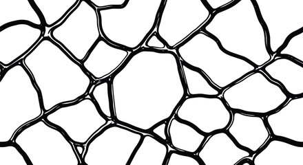 Abstract cracked pattern texture background vector illustration geometric network overlay graphic vector