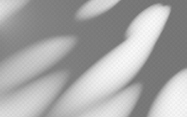 Wall Mural - abstract shadow overlay dappled light on a transparent background.