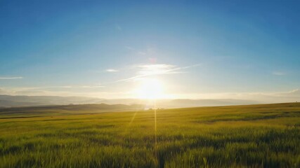 Wall Mural - Golden rays of sunlight shining through clouds above the ocean.