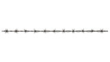 Dangerous Sharp Barbed Wire Detail