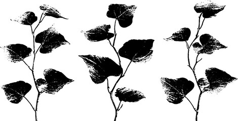 Wall Mural - Black and white ivy stencil set for artistic design and decoration