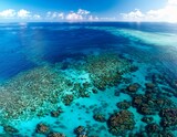 aerial view vibrant coral reef ocean