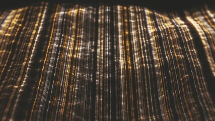Wall Mural - Abstract Digital Distorted Lines Waving Background/ Animation of an abstract background of flowing and waving lines