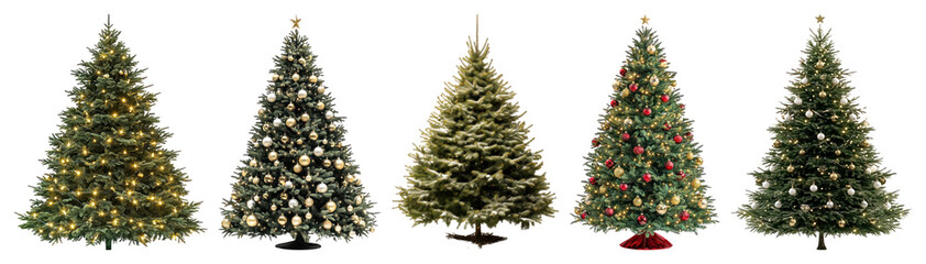 Wall Mural - png festive decorated christmas trees displayed, element set on transparent background