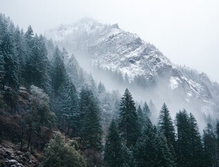 Wall Mural - WINTER SEASON