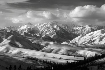 Wall Mural - WINTER SEASON