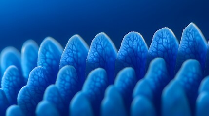 Vibrant Blue Flower Petals Macro Photography