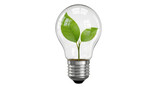 Isolated Lightbulb with Plant Inside