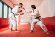 © Miljan Živković - Two martial arts athletes training together in a gym