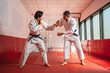 © Miljan Živković - Two martial arts athletes training together in a gym
