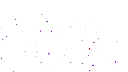Colorful Confetti Burst Celebration Overlay Animation. confetti particles exploding and flying in all directions. Concept for celebration videos, party intros, event highlights, wedding videos,