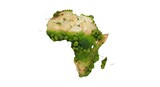Heart of the Savanna: The African Continent Textured with Its Unique Grasslands and Acacia.